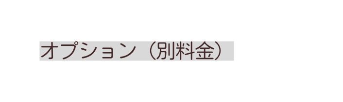 オプション 別料金